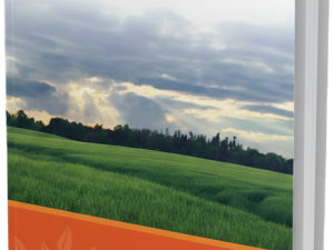 Final Matters Book Transparent